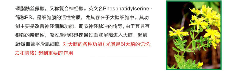 Phosphatidylserine viên dầu cá DHA dành cho phụ nữ mang thai dành cho phụ nữ mang thai sinh viên dinh dưỡng và sức khỏe có thể ghi nhớ - Thực phẩm dinh dưỡng trong nước viên uống tảo biển