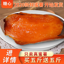 Shandong sweet potato sugar heart sweet potato fresh with box 10 kg smoked potato 25 red heart dense potato summer flow oil flow heart sweet potato