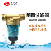 European tap water backwash environmental protection large flow high precision household front water purifier filter