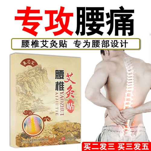 Wormwood Lumbar Posteri Ai Ai Ai Paste Lumbar Muscal Lost Lumbar Discare Paste Paste Cream Back Plax Moxibustion DQ