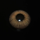 [Новый продукт] Yukicon бросает коробку из 10 кусочков звездных синих чернил нефрита, серая, яоша золотая контактная линза wn каждый день