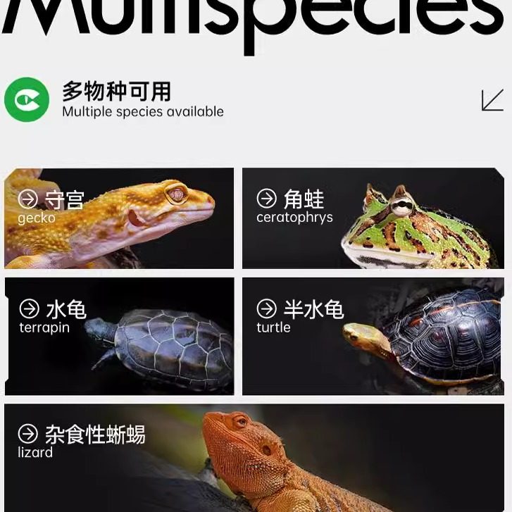 Cleen其鳞:点亮爬宠世界的专属阳光-爬宠灯具-淘宝百科网