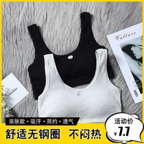 (Sweat-absorbing and breathable)pure cotton middle school underwear female Korean version of small-breasted high school vest development period childrens bra