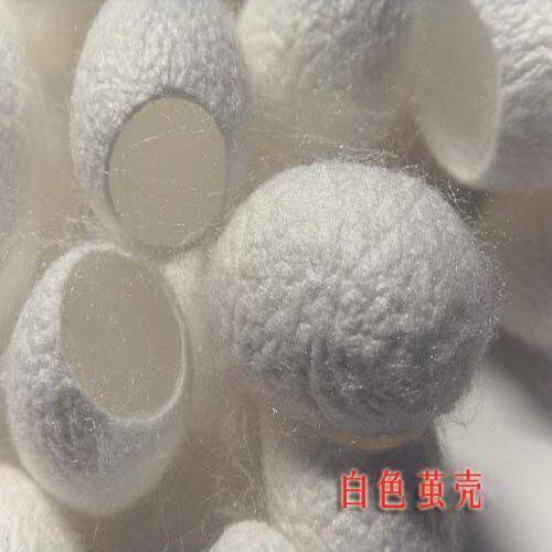 Selected top product Complete opening live pupa white silk Pure natural face washing beauty medicine tea drawing silk pupa