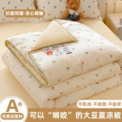 Class a Soybean Summer Quilt, Pure Cotton, Machine Washable, Summer All-Cotton Air-Conditioning Quilt Core, Children's Summer Thin Single Quilt 2