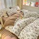 Class a Milk Velvet Four-Piece Set, Winter Thickened Warm Coral Velvet Bedding, Fleece-Lined Duvet Cover, Bed Sheet Three-Piece Set 4