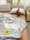 Class a Summer Cooling Quilt Four-Piece Set, Pure Cotton, Machine Washable, Summer Children's Air-Conditioning Quilt, Summer Double Thin Quilt 1