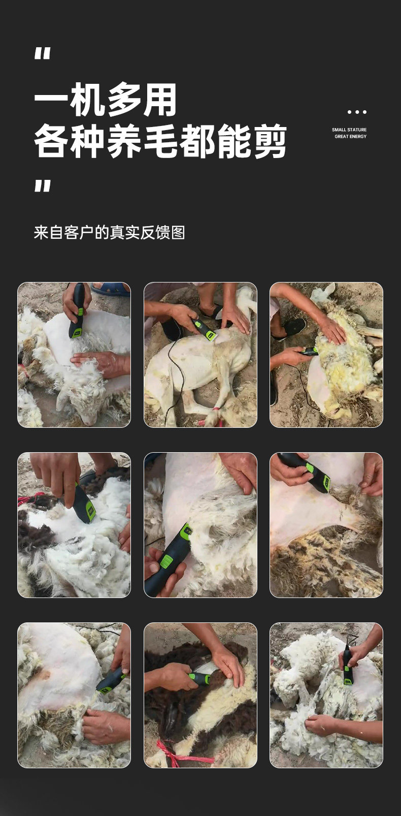 Ножницы 羊毛推子电动剪毛机绒山羊专用羊毛剪子电动推子剃羊毛绵羊电推剪