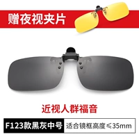 F123 Черный и серый средний номер