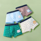 Children's underwear boys' pure cotton boxer little boy's baby middle and large children's student four-corner cotton boy's underwear