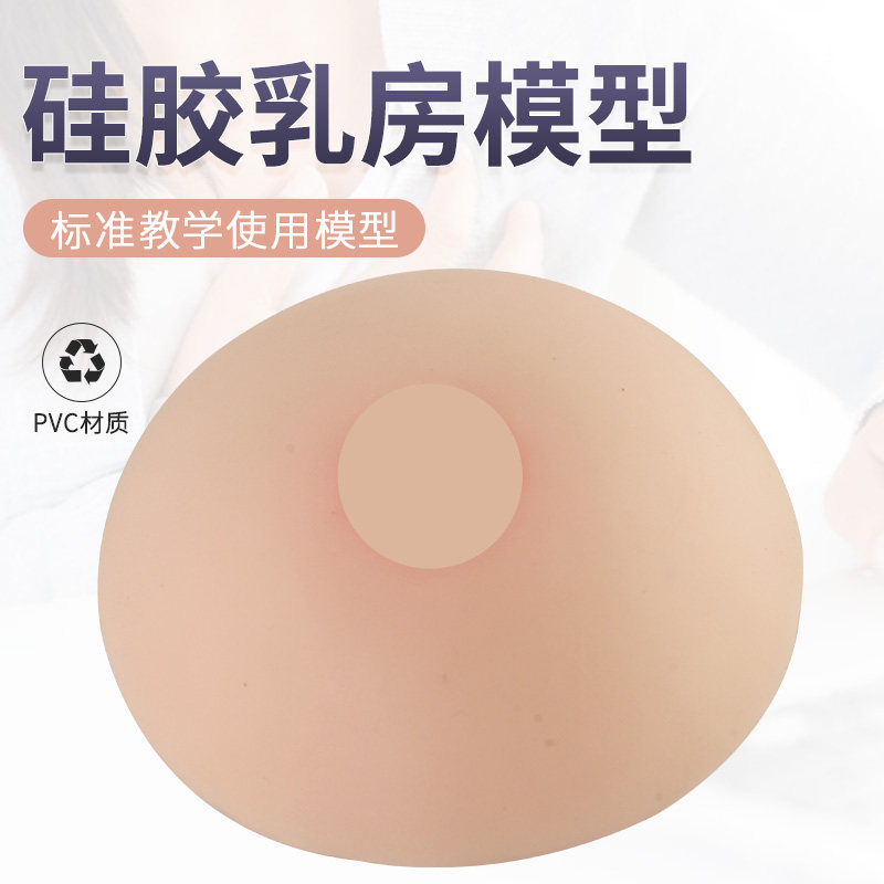 母乳哺乳教学催乳师培训教具纯硅胶乳房模型 高级仿真女性假乳房