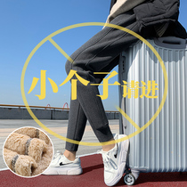Plus velvet sweatpants womens autumn and winter thick lamb velvet pants nine-point small cotton pants loose toe casual pants