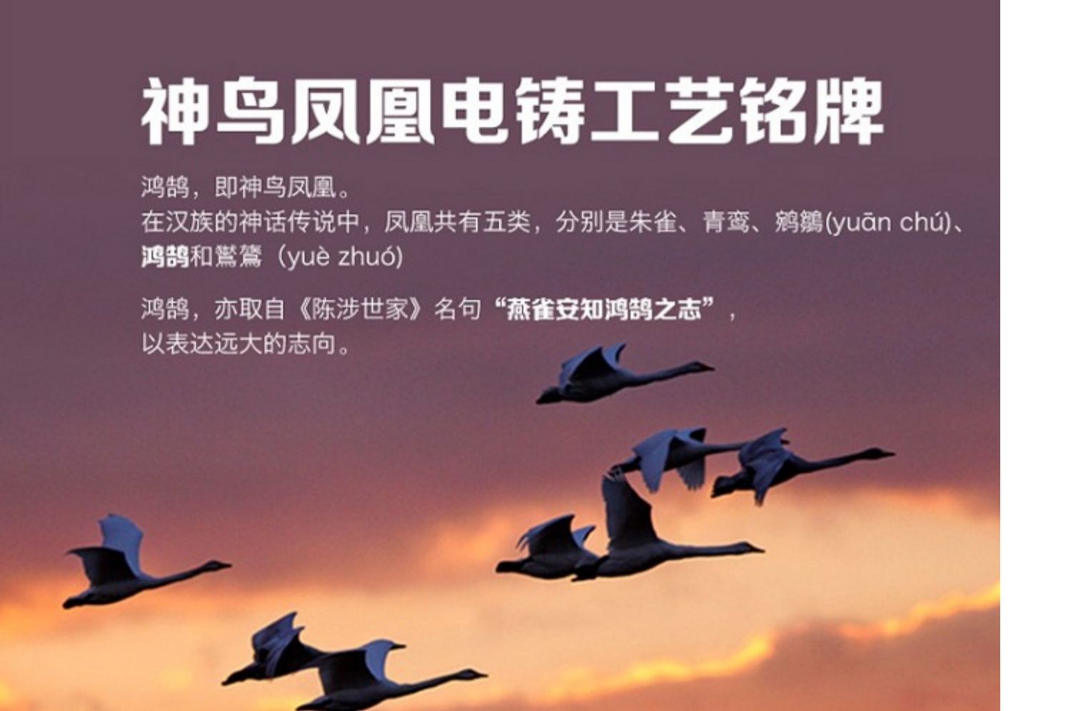 Ống nhòm Boguan Hongjun 8X42ED Boguan Hongjun thế hệ thứ hai ED phẳng mới nhất HD nổi bật - Kính viễn vọng / Kính / Kính ngoài trời ống nhòm hồng ngoại xuyên màn đêm