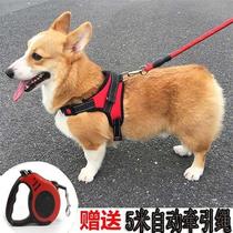 Walking Dog Traction Rope Chest Harness Vest-Style Pooch Teddy Gold Wool Puppies Small Dogs Dog Chain Pet Item Ring Rope