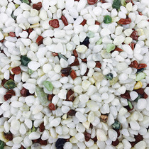  Decorative landscaping bottom sand at the bottom of the fish tank Color small stones Aquatic grass sand White stones Aquarium turtle bottom sand