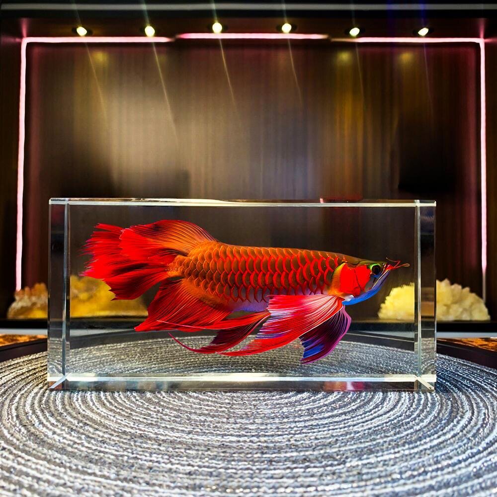 可定制 内雕红龙鱼水晶摆件客厅玄关办公室高档乔迁工艺品送礼物