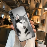 Ослепление Meng Dog Cute Erchuo Sui Huawei nova4/nova2s/nova3i/3e матовая замороженная стеклянное зеркало Служа