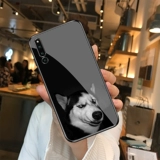 Ослепление Meng Dog Cute Erchuo Sui Huawei nova4/nova2s/nova3i/3e матовая замороженная стеклянное зеркало Служа