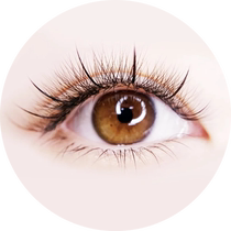 Upgrade in store·Light makeup upper and lower eyelashes (no limit to the number of 0 07mm) choose one of twelve