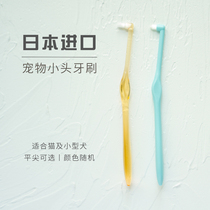 Cat toothbrush Japan imported ci pet cat with flat head pointed head soft hair small head brushing bad breath can be used for kittens