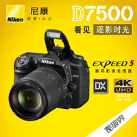 Ống kính máy ảnh DSLR Nikon D7500 (18-140mm) Máy ảnh DSLR Máy ảnh kỹ thuật số chuyên nghiệp - SLR kỹ thuật số chuyên nghiệp máy chụp ảnh giá rẻ