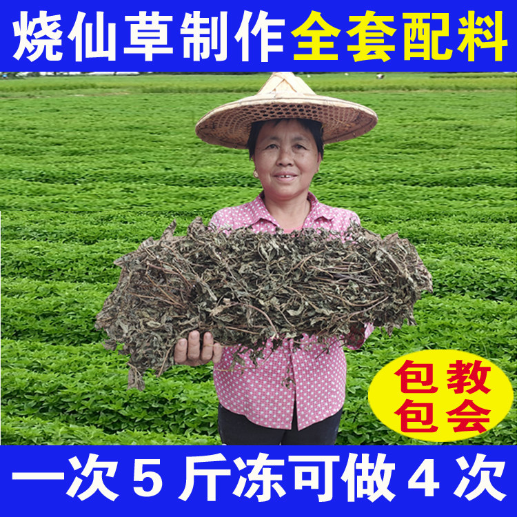 Fairy Grass Dry Burning Fairy Grass Cool Powder Grass Full Ingredients Fresh Grass Dry Fairy Grass Fairy Grass Permafrost Fairy Grass Hay Meadine Grass