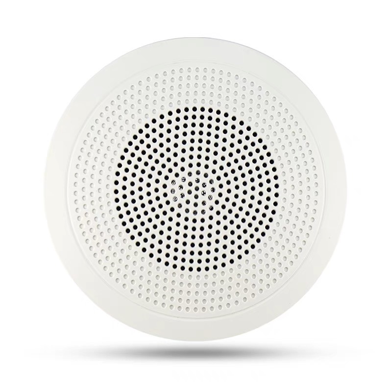 Bay Bluebird Lida Taihe Anshan Eagle Dark Surface Mounted Fire Broadcast Speaker Msyx-02 Speaker Audio