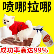 Pooch Pinpoint Defecation Inducing Agents Pet Defecation to relieve Toilet Fluid Guide Kittens on Toilet Inducers