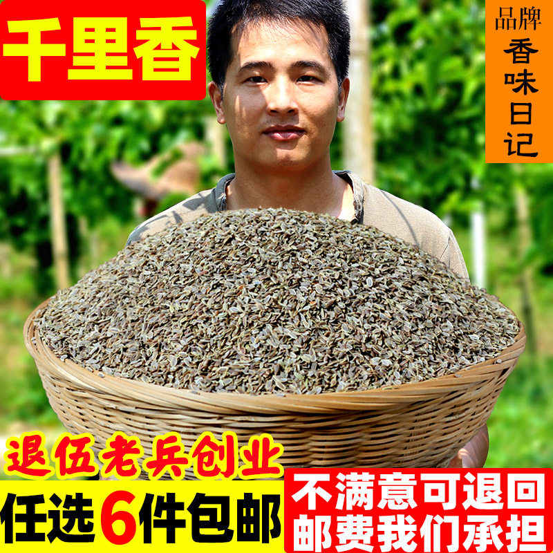 Girimary 50g spice home Jiuli fragrant thyme Sesame Seeds Sesame Seeds Hot Pot brine Wonton Soup Seasoning Bait