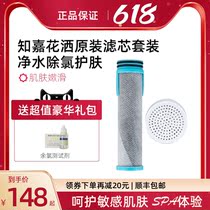 Governor Shower FILTER CORE SUIT JAPAN TECHNOLOGY BATH MEATSKIN WATER PURIFYING SHOWER ACTIVE CARBON SUB-CALCIUM SULPHATE MEMBER PRICE