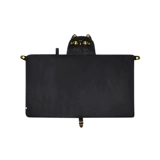 День Дня учителя Андерсона, кошка