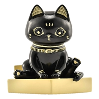 GAA Anderson Cat Model