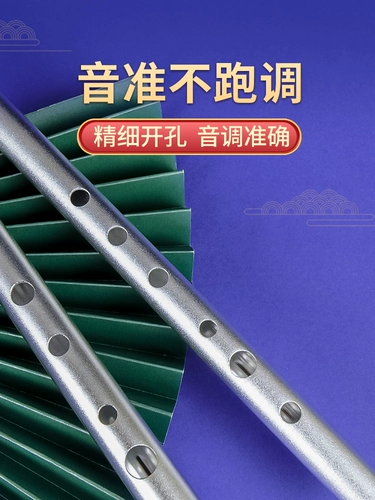 Ирландский свист C -