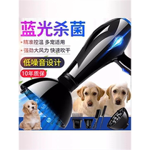 Pet hair dryer for bathing high-power water blower for dogs and cats golden hair blowing and drying artifact beauty machine