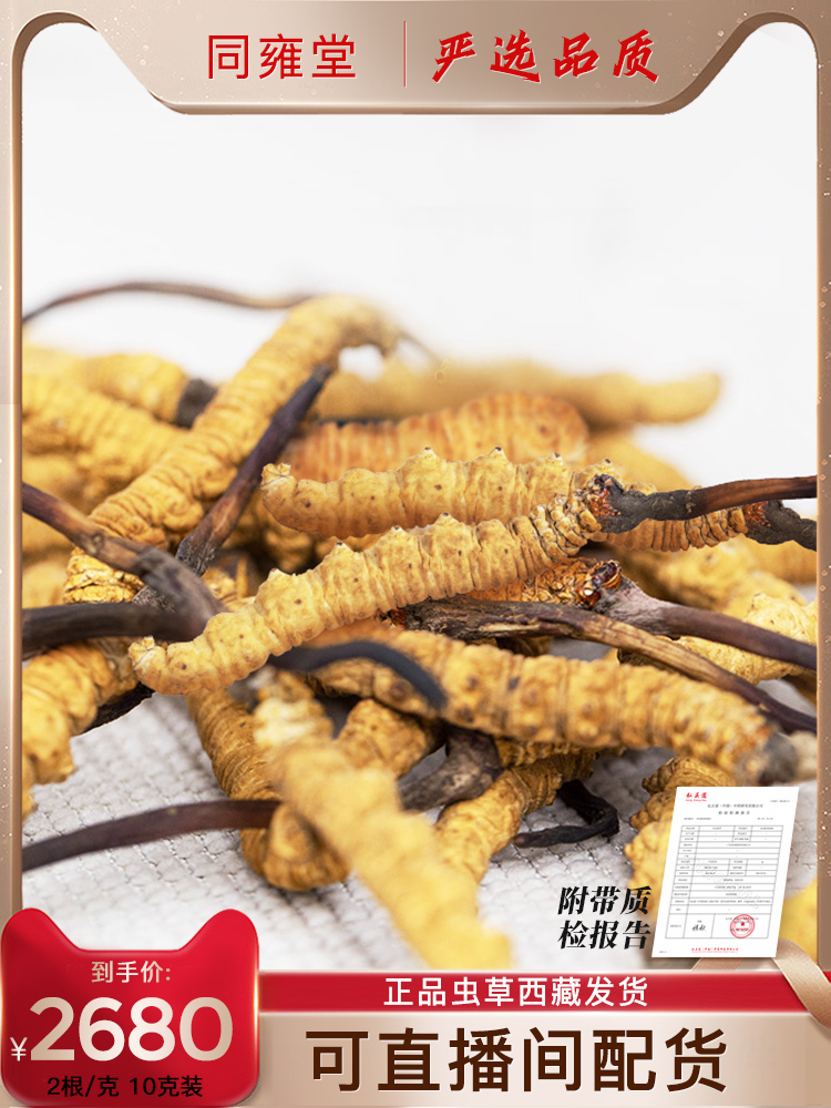 Tibet Naqu Cordyceps flagship Store Natural dried Cordyceps 2 grams 10 grams (20)