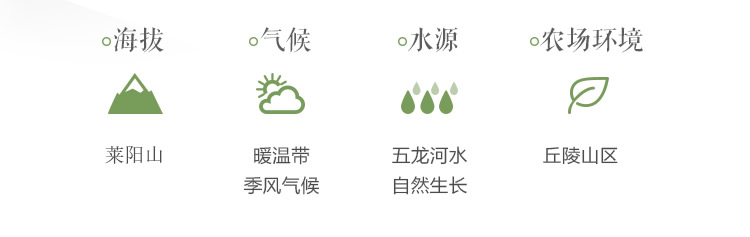 中国梨乡 客聚多 山东莱阳梨 5斤 脆甜多汁 图4