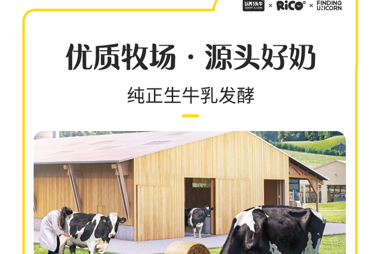 认养一头牛 高端法式酸奶230g*10瓶*2提 图17