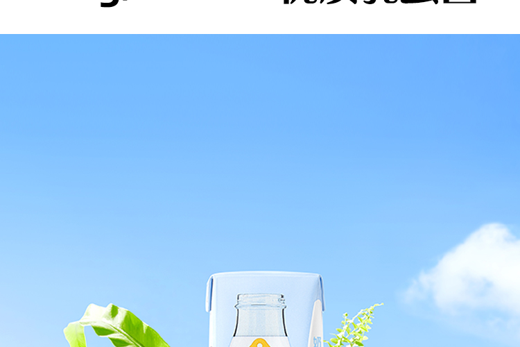 认养一头牛 全脂纯牛奶250ml*24 图4