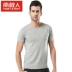 Nam Cực ngắn tay áo thun cotton mùa hè trẻ trung Áo sơ mi nam thể thao co giãn áo vest màu rắn áo phông nam Áo phông ngắn