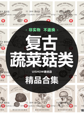 复古手绘线描素描辣椒蔬菜菇类店铺装修装饰插画背景矢量图片素材