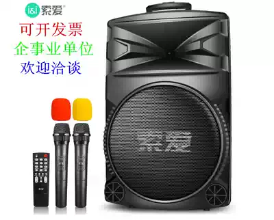 Sony love a89wm12 inch family KTV singing lever sound square dance speaker lever Bluetooth Dual microphone