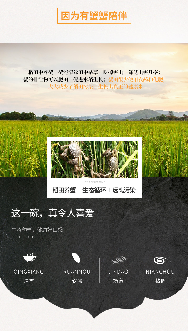国家地理标志产品 天禹 盘锦蟹田珍珠米 10斤 图4