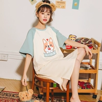 TFN9904 Puppy