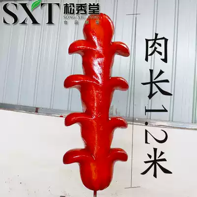 Fiberglass large ham sculpture Large sausage model ornaments simulation large door head welcome roast sausage hot dog