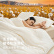 Cotton Quilt with Winter Quilt Core, Thickened and Warm, Suitable for All Seasons, Made with Premium Xinjiang Cotton Fibers