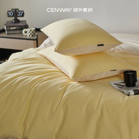 100S Thickened Premium Brushed Cotton Four-Piece Bedding Set, Pure Cotton, 2025 New Model, Bed Sheet and Duvet Cover Set