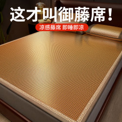 Summer Mat, Rattan Mat, Summer Ice Silk, New Summer Style Straw Mat, Fitted Sheet Style, Air-Conditioned Dormitory Single Bed, Winter and Summer Soft Mat