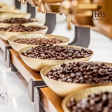 Писатели кофе пи пи, лорд ручной работы свежие жареные кофейные зерна 250 г ручной черный кофе + холодный горшок