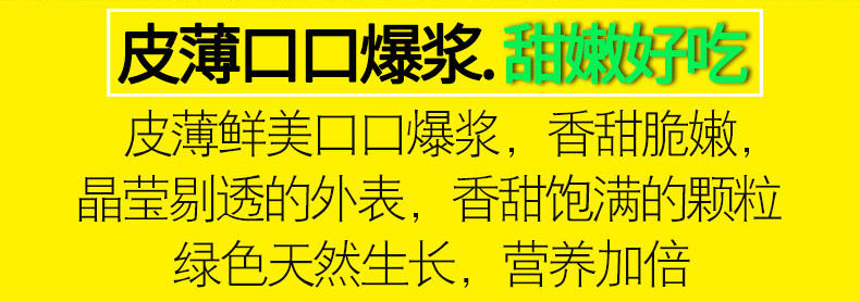如花似月 云南新鲜水果玉米 10斤 图7