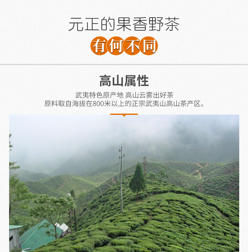 红茶国标起草单位 元正 果香正山小种红茶 200g*2罐 图4